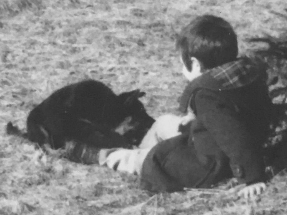 Nicola Paoli educatore cinofilo da bambino